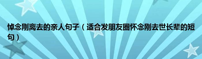 悼念刚离去的亲人句子（适合发朋友圈怀念刚去世长辈的短句）