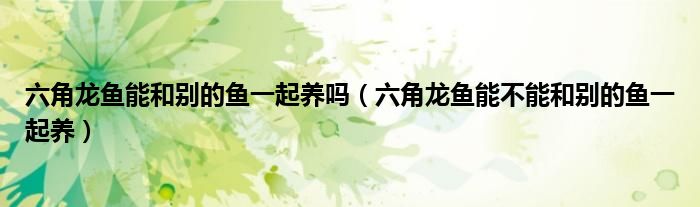 六角龙鱼能和别的鱼一起养吗（六角龙鱼能不能和别的鱼一起养）