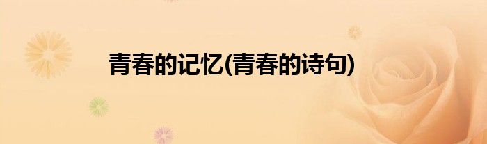 青春的记忆(青春的诗句)