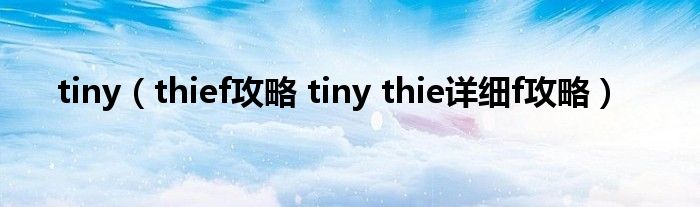 tiny（thief攻略 tiny thie详细f攻略）