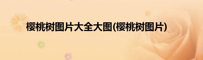 樱桃树图片大全大图(樱桃树图片)