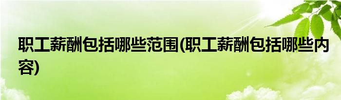 职工薪酬包括哪些范围(职工薪酬包括哪些内容)
