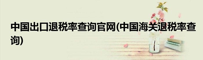 中国出口退税率查询官网(中国海关退税率查询)