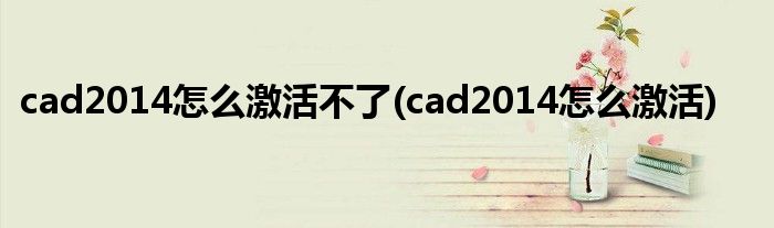 cad2014怎么激活不了(cad2014怎么激活)