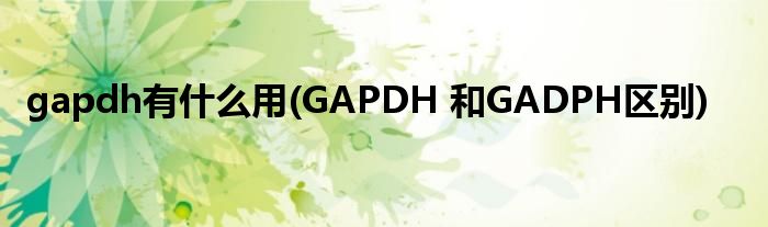 gapdh有什么用(GAPDH 和GADPH区别)