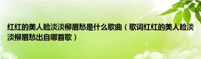 红红的美人脸淡淡柳眉愁是什么歌曲（歌词红红的美人脸淡淡柳眉愁出自哪首歌）