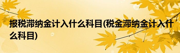 报税滞纳金计入什么科目(税金滞纳金计入什么科目)