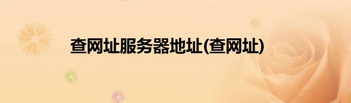 查网址服务器地址(查网址)