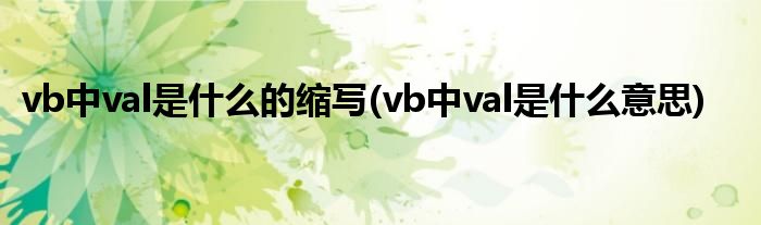 vb中val是什么的缩写(vb中val是什么意思)