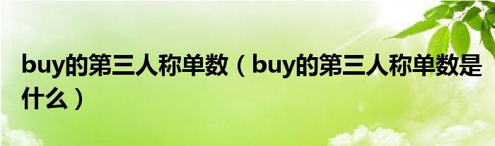 buy的第三人称单数（buy的第三人称单数是什么）