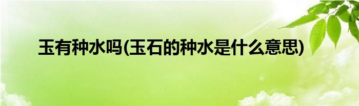 玉有种水吗(玉石的种水是什么意思)