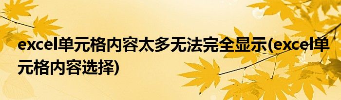 excel单元格内容太多无法完全显示(excel单元格内容选择)