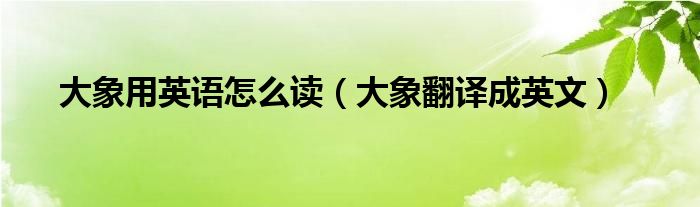 大象用英语怎么读（大象翻译成英文）