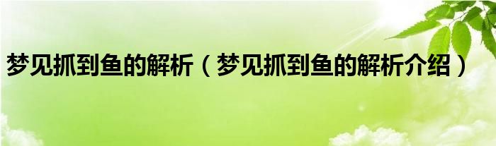 梦见抓到鱼的解析（梦见抓到鱼的解析介绍）