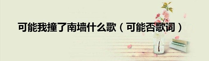 可能我撞了南墙什么歌（可能否歌词）