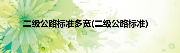 二级公路标准多宽(二级公路标准)