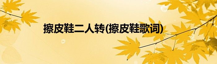 擦皮鞋二人转(擦皮鞋歌词)