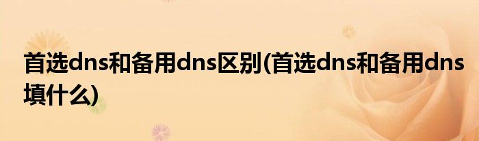 首选dns和备用dns区别(首选dns和备用dns填什么)