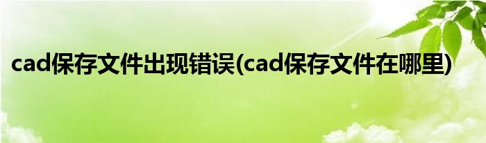 cad保存文件出现错误(cad保存文件在哪里)