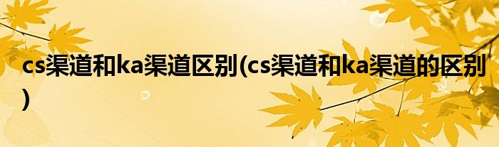 cs渠道和ka渠道区别(cs渠道和ka渠道的区别)