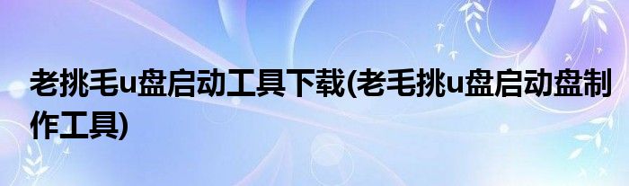 老挑毛u盘启动工具下载(老毛挑u盘启动盘制作工具)
