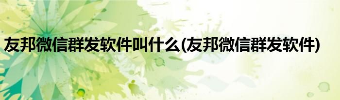 友邦微信群发软件叫什么(友邦微信群发软件)