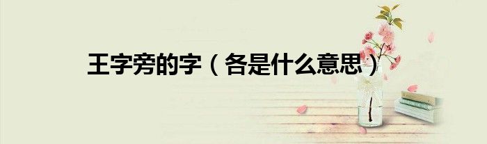 王字旁的字（各是什么意思）