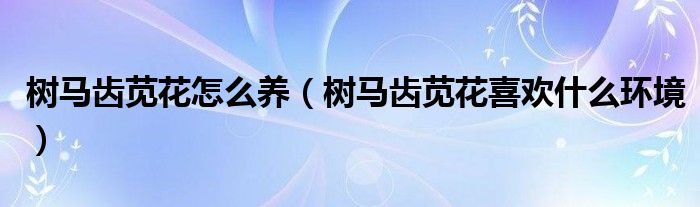 树马齿苋花怎么养（树马齿苋花喜欢什么环境）