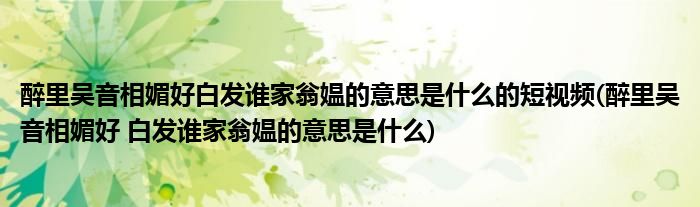 醉里吴音相媚好白发谁家翁媪的意思是什么的短视频(醉里吴音相媚好 白发谁家翁媪的意思是什么)