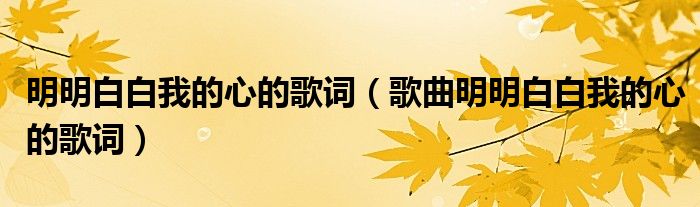 明明白白我的心的歌词（歌曲明明白白我的心的歌词）