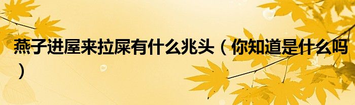 燕子进屋来拉屎有什么兆头（你知道是什么吗）