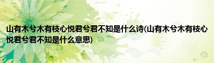山有木兮木有枝心悦君兮君不知是什么诗(山有木兮木有枝心悦君兮君不知是什么意思)