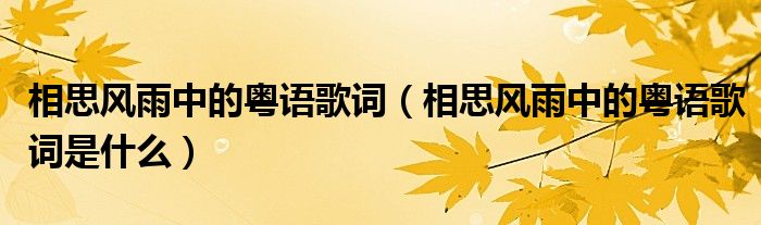 相思风雨中的粤语歌词（相思风雨中的粤语歌词是什么）