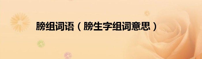 膀组词语（膀生字组词意思）