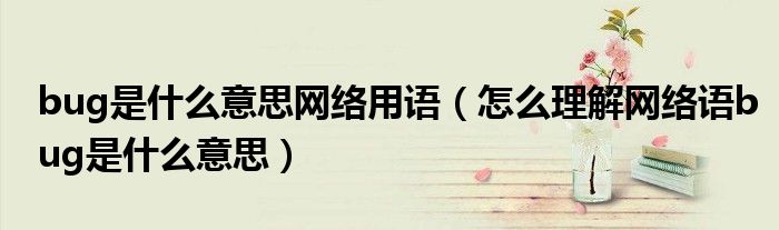 bug是什么意思网络用语（怎么理解网络语bug是什么意思）