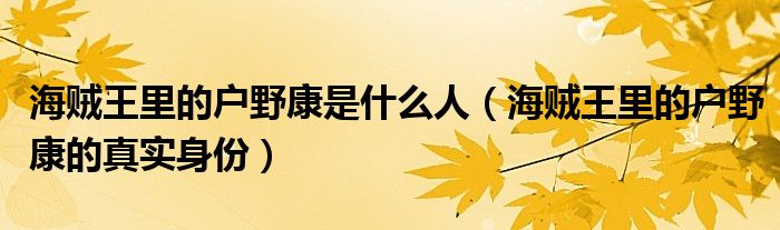 海贼王里的户野康是什么人（海贼王里的户野康的真实身份）