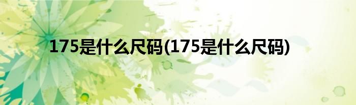 175是什么尺码(175是什么尺码)