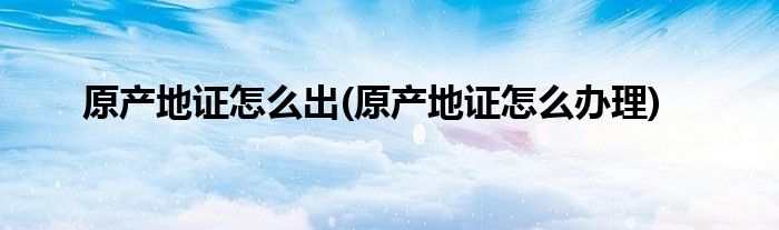 原产地证怎么出(原产地证怎么办理)