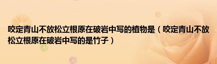 咬定青山不放松立根原在破岩中写的植物是（咬定青山不放松立根原在破岩中写的是竹子）