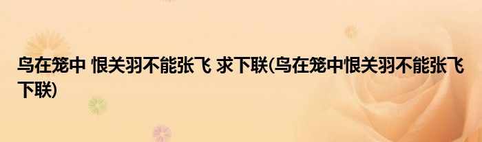 鸟在笼中 恨关羽不能张飞 求下联(鸟在笼中恨关羽不能张飞下联)