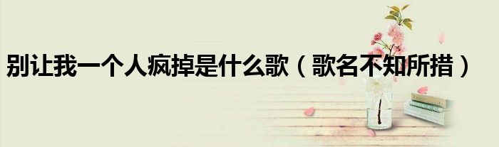 别让我一个人疯掉是什么歌（歌名不知所措）