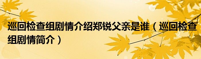 巡回检查组剧情介绍郑锐父亲是谁（巡回检查组剧情简介）