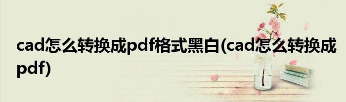 cad怎么转换成pdf格式黑白(cad怎么转换成pdf)