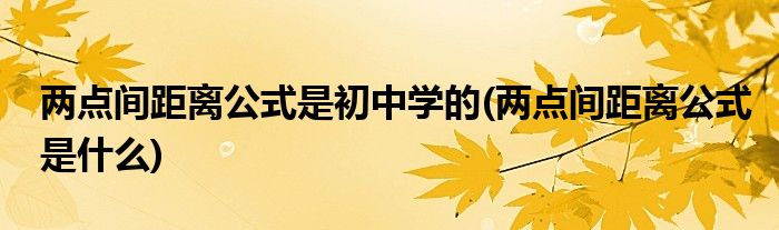 两点间距离公式是初中学的(两点间距离公式是什么)