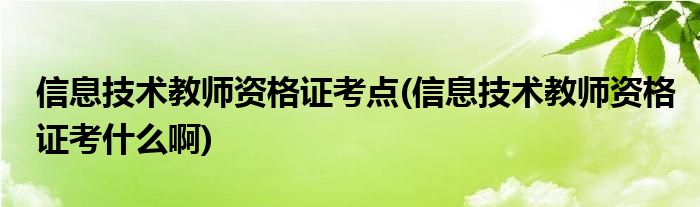 信息技术教师资格证考点(信息技术教师资格证考什么啊)