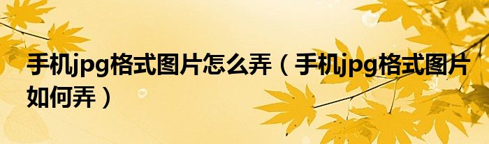 手机jpg格式图片怎么弄（手机jpg格式图片如何弄）