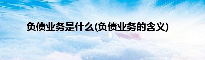负债业务是什么(负债业务的含义)