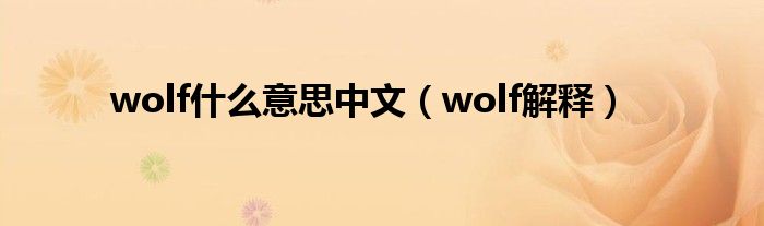 wolf什么意思中文（wolf解释）