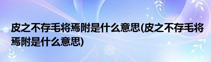 皮之不存毛将焉附是什么意思(皮之不存毛将焉附是什么意思)