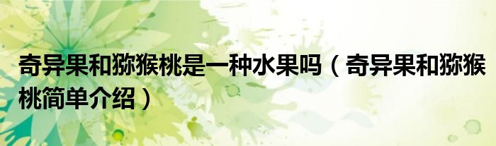 奇异果和猕猴桃是一种水果吗（奇异果和猕猴桃简单介绍）